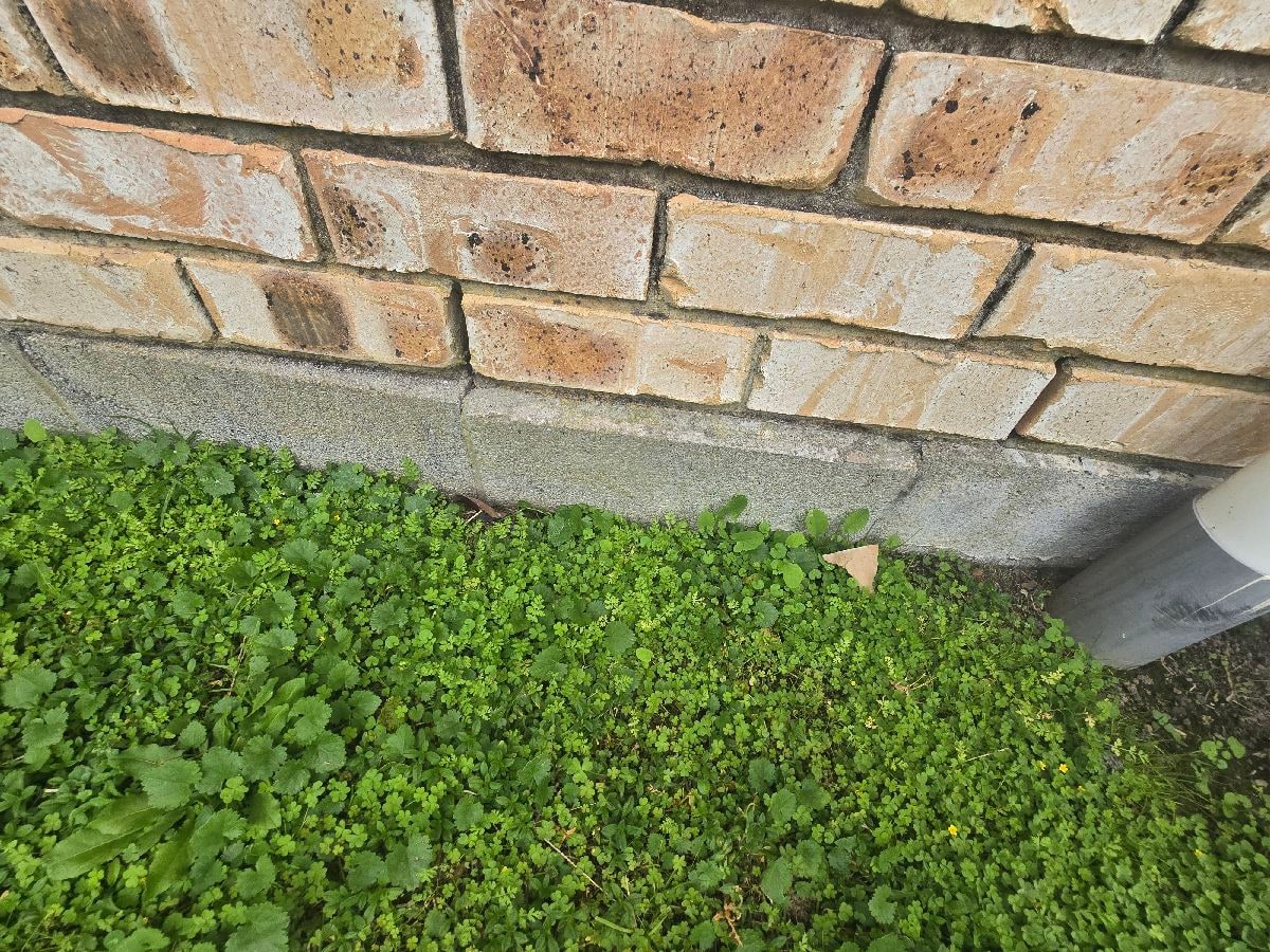 Displaced brick veneer from drainage failure